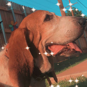 Meet your Posher, Kylie